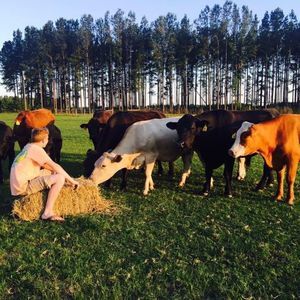 Meet your Posher, John